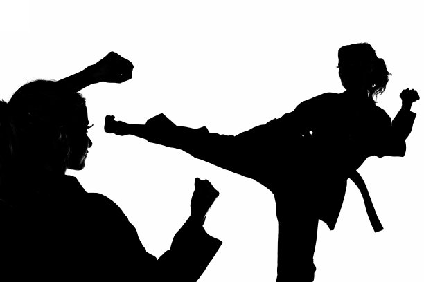 块和捍卫图片下载