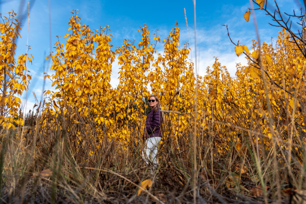 身穿紫色夹克站在秋色树林中的女人图片下载