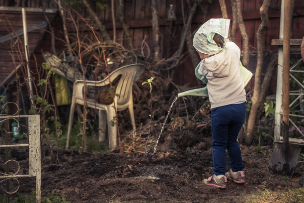 小女孩用洒水罐洒水栽在花园里的树图片下载