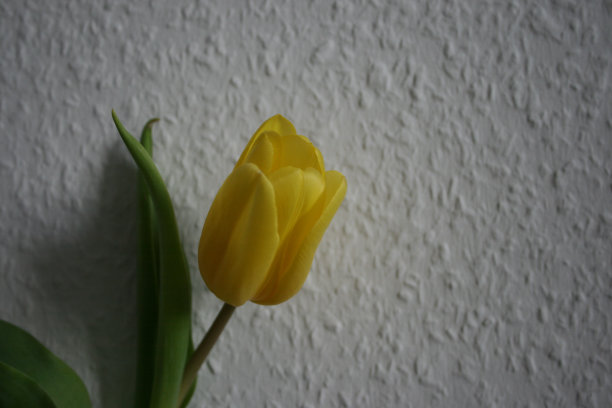 美丽的室内装饰图片下载