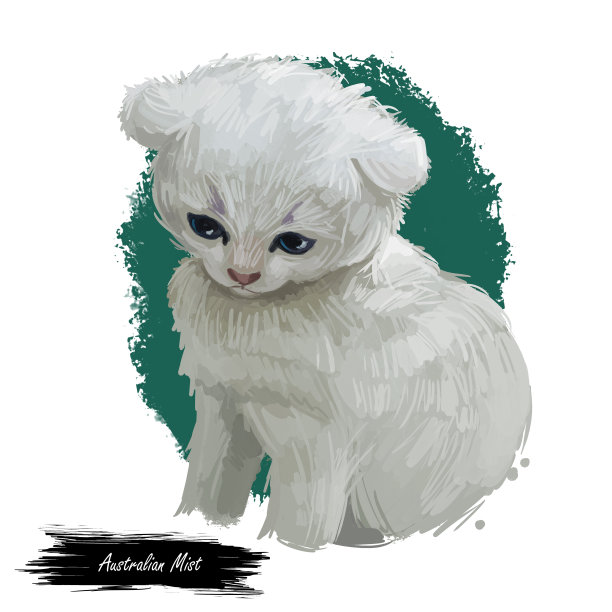 澳大利亚或斑点雾猫孤立在白色背景上。手绘kitty的数字艺术插图。小猫短毛，中等大小，灰色皮毛，大而明亮的绿色眼睛。图片下载