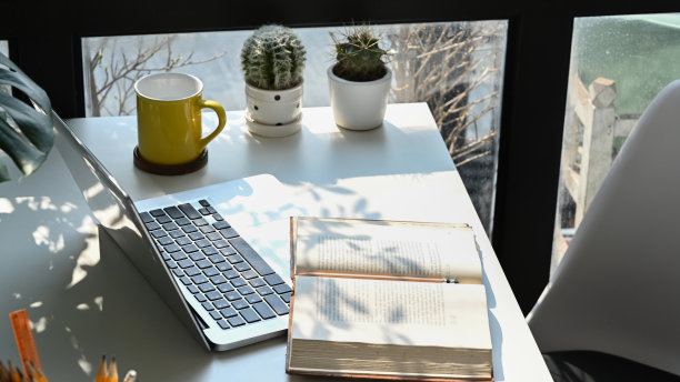 笔记本电脑，笔记本电脑，咖啡杯和仙人掌在白色的桌子上。图片下载