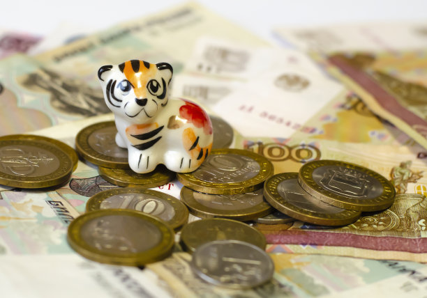 一只Forforov老虎幼崽坐在俄罗斯硬币和钞票上图片下载