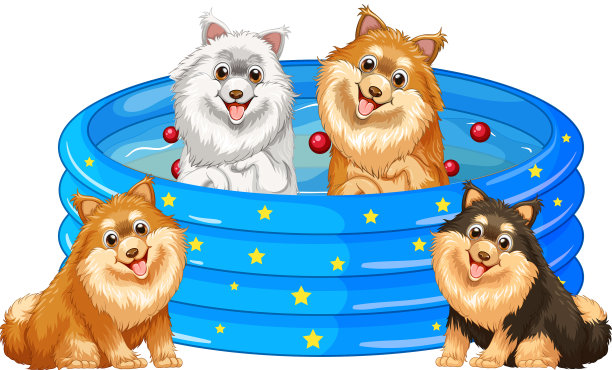 可爱的小狗在橡胶游泳池图片下载