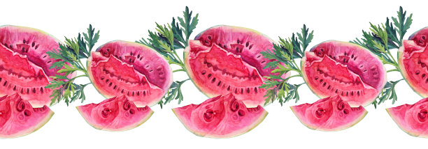 无缝边界水彩手绘西瓜片与绿色的叶子在白色背景。夏果秋食甜。逼真的自然红色对象菜单卡包装，纺织品图片下载