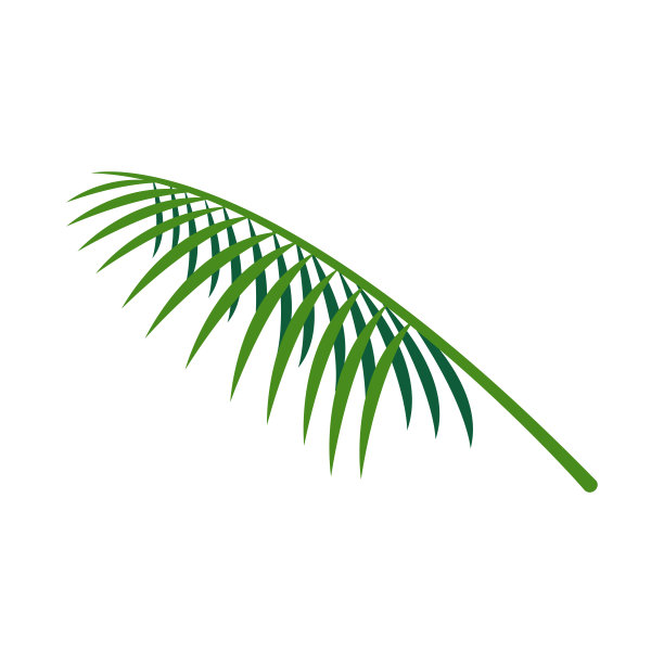 椰子叶、椰子棕榈叶图形简单图片下载