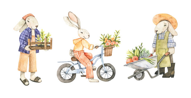 水彩可爱的兔子收集。带盒子和蔬菜的园丁。兔子在自行车上。带手推车的兔子。收成。孩子性格。完美的邀请函，贺卡，包装，婴儿派对图片下载