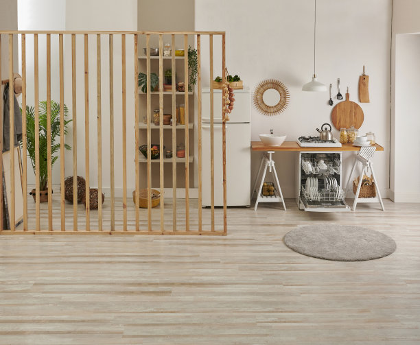 现代厨房背景风格与洗碗机和冰箱风格，室内概念。洗手台植物花瓶和灯饰。图片下载