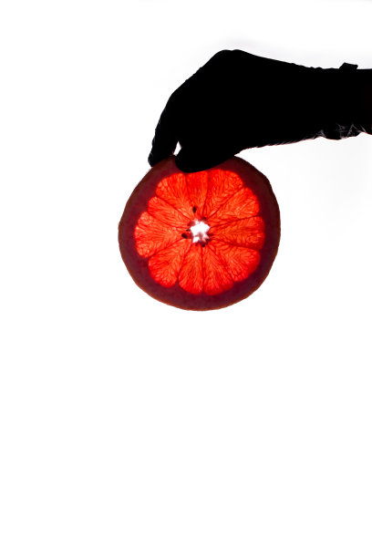手戴着黑色手套，手里拿着白色背景上的新鲜葡萄柚片。图片下载