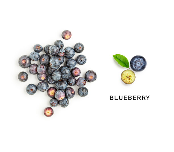 蓝莓水果创意布局图片下载