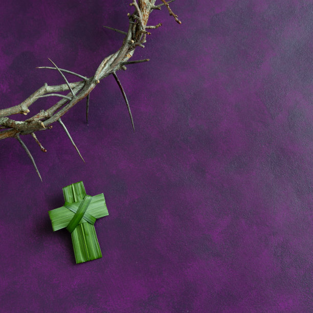 紫色的荆棘王冠和棕榈十字架图片下载