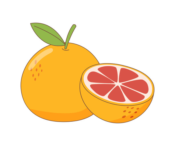 葡萄柚图片下载