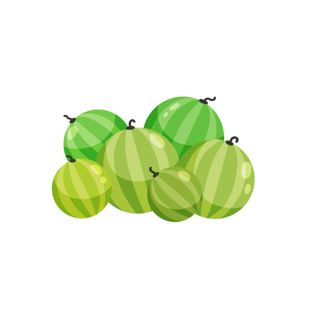 一些西瓜。夏天的水果堆。图片下载