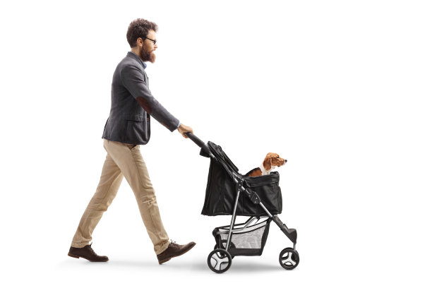 一名留着胡子的男子推着一辆小猎犬推车行走图片下载