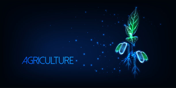 未来农业概念与发光低多边形植物芽孤立在深蓝色图片下载