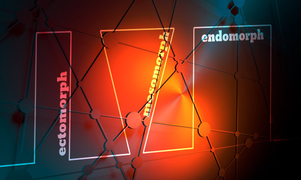 Body类型图标设置。外形、中形和内形。图片下载