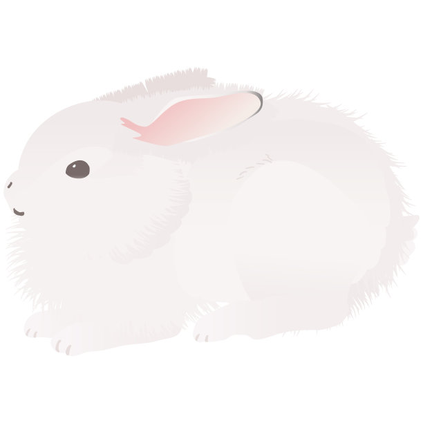 北极野兔矢量插图。兔子，兔子和世界大赛的兔子。图片下载