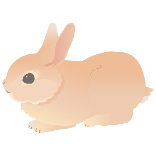 荷兰侏儒兔矢量插图。世界职业棒球大赛的兔子和兔子。图片下载