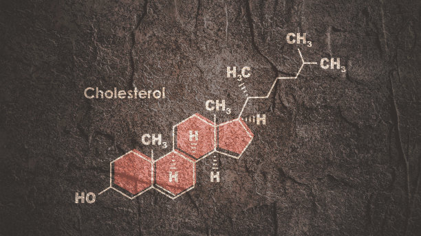 胆固醇的结构式。图表说明。图片下载