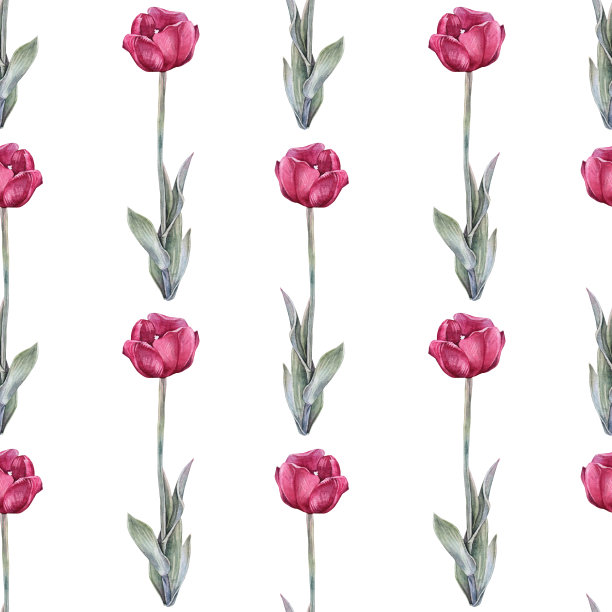 无缝图案水彩红色郁金香与绿色叶子孤立在白色背景。手绘春花三月八日庆祝卡片。自然艺术墙纸包装速写本花店图片下载