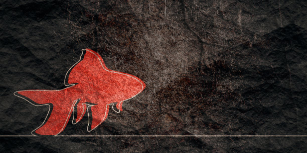 抽象的海鱼图标在细线风格。图片下载