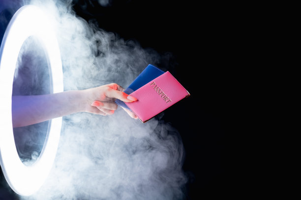 护照服务全球移民手证门户图片下载