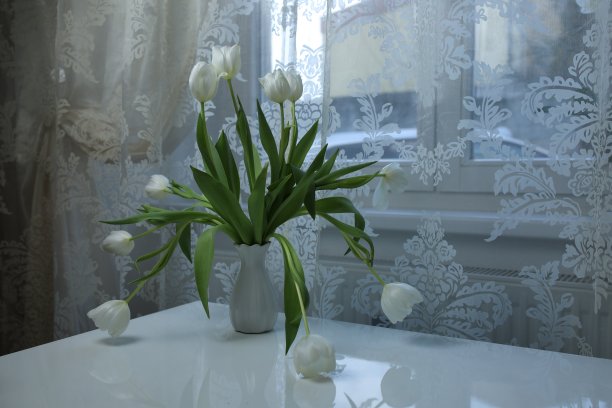 窗边桌子上的花瓶里插着一束白色郁金香图片下载