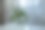 窗边桌子上的花瓶里插着一束白色郁金香图片下载