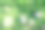 樱花盛开。早春公园绿地景观。空中无人机拍摄的照片。图片下载