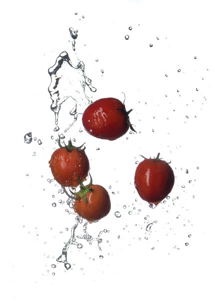 新鲜的红色番茄在飞溅的水孤立在白色的背景图片下载