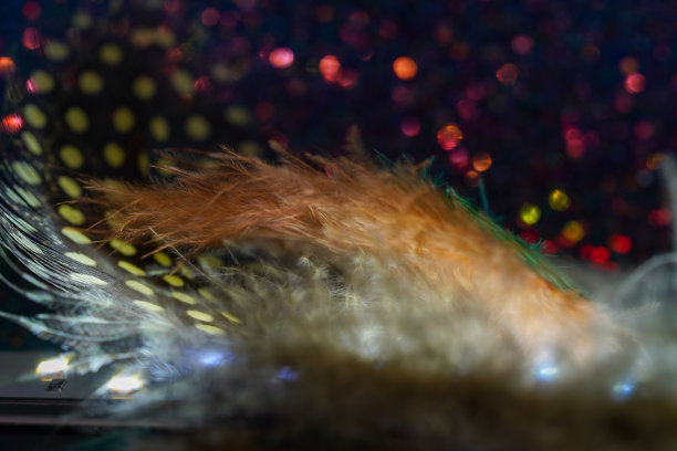 鸟的羽毛作为背景图像有很多明亮的颜色和结构图片下载