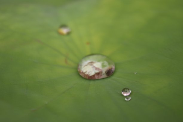 水drop_04图片下载