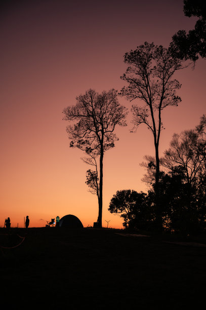 傍晚山顶上的剪影树和帐篷图片下载