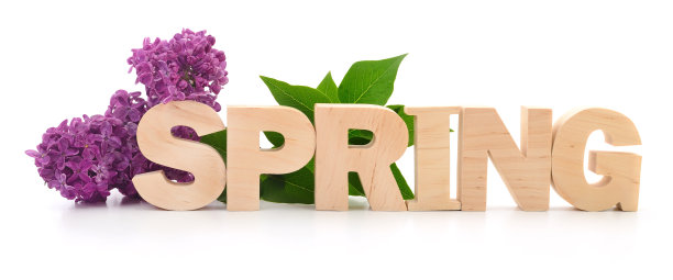 春天的字和丁香花。图片下载