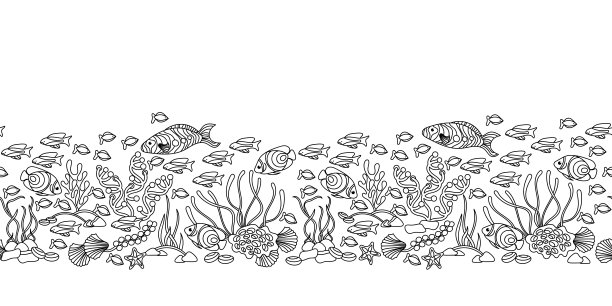 水下无缝的边界。海洋动植物。在白色背景上手绘水平矢量插图图片下载