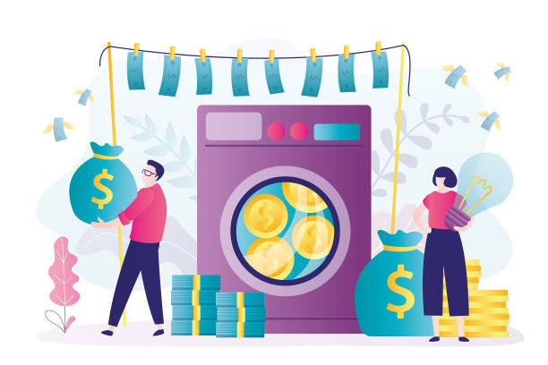 一名女子提出了洗钱计划。Ð '罪犯离开影子经济后获取利润图片下载