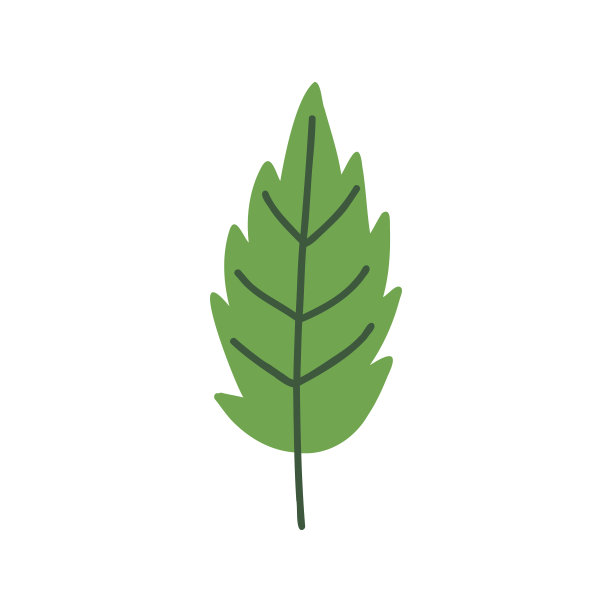 绿色素叶图片下载