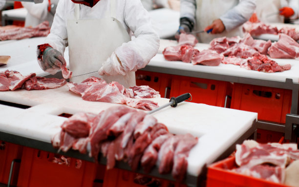 图为一群在肉店工作的工人，在金属工作台上把一块新鲜的牛肉切成小块。图片下载