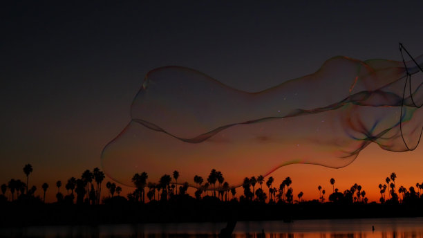 棕榈树的剪影，日落的海洋海滩，肥皂泡，加利福尼亚海岸，美国。图片下载