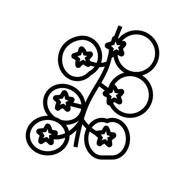 樱桃番茄线图标矢量插图图片下载