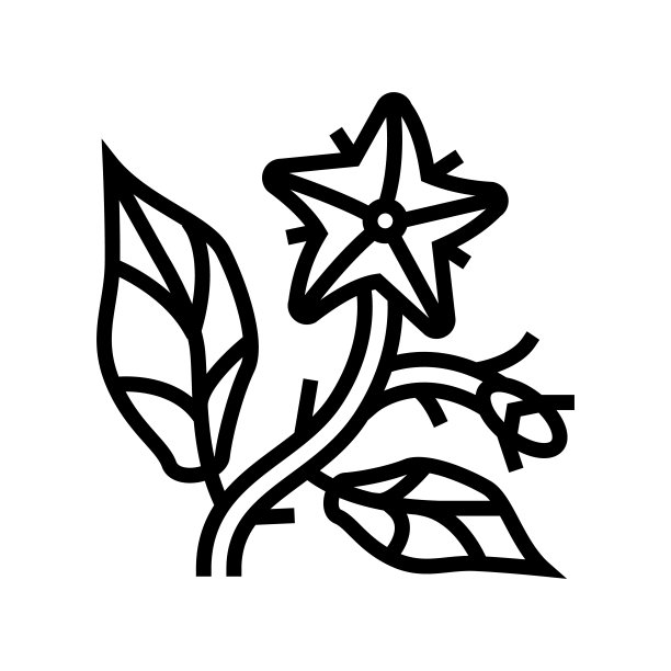 番茄花线图标矢量插图图片下载