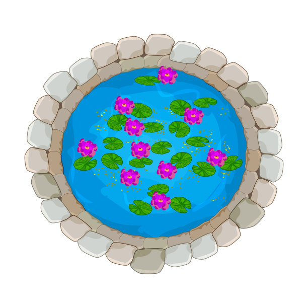 白色背景的百合池塘。小石头装饰池塘与红色睡莲顶景。图片下载