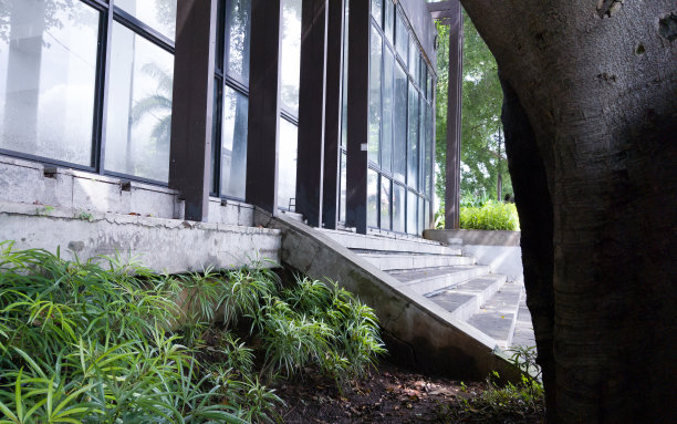 万隆市立公园的一角图片下载