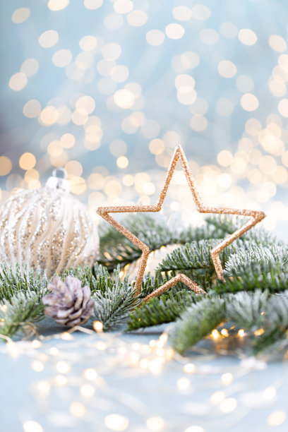 星光闪烁的圣诞云杉。图片下载