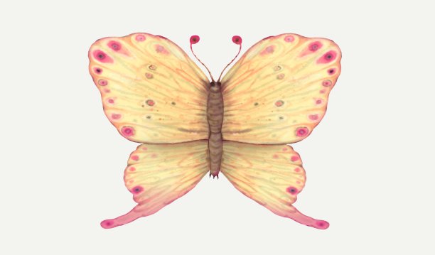 超现实的蝴蝶。抽象水彩画。动物的插图。手绘艺术作品。图片下载