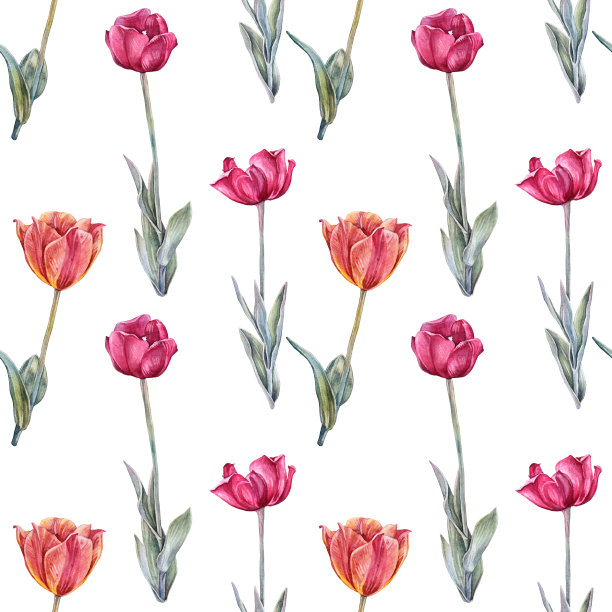 无缝图案水彩红色橙色郁金香与绿色叶子孤立在白色背景。手绘春花三月八日庆祝卡片。艺术墙纸包装素描书花店图片下载