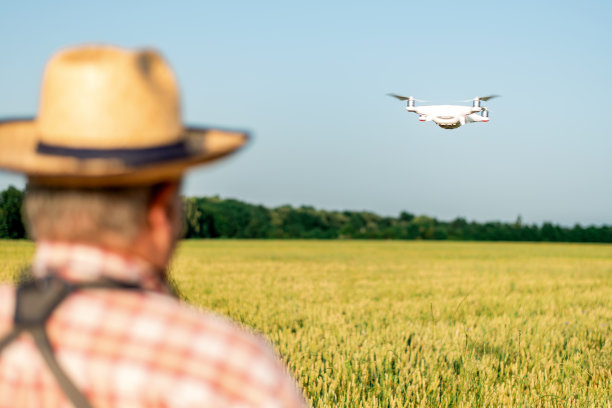 一名农民驾驶着无人机飞过麦田图片下载
