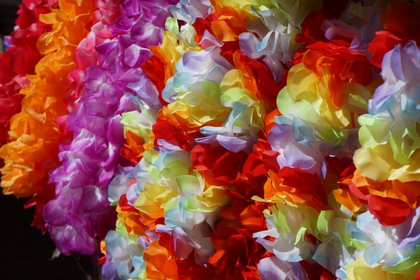 夏威夷花环图片下载