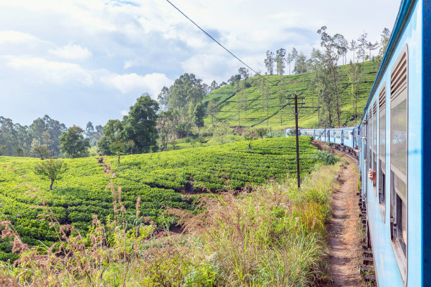 从康提坐火车到艾拉图片下载