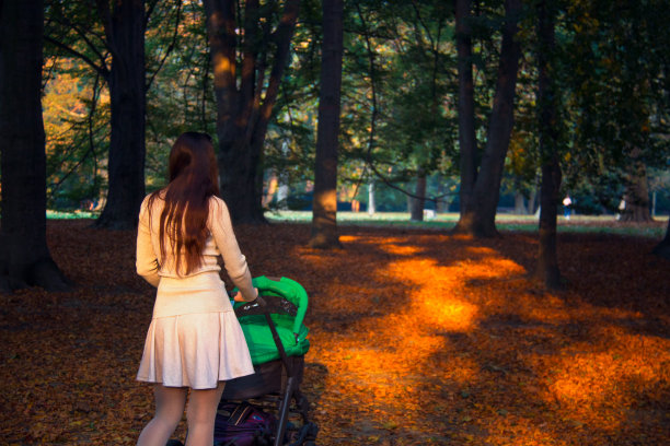 后视图的年轻母亲外面的婴儿婴儿车散步在秋天的花园公园的小径上覆盖着五颜六色的树叶和金色的阳光在树林的阴影之间图片下载